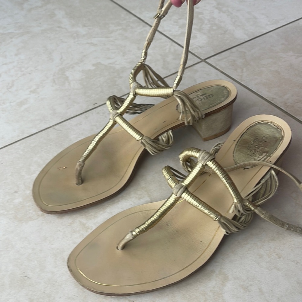 Gucci shoes